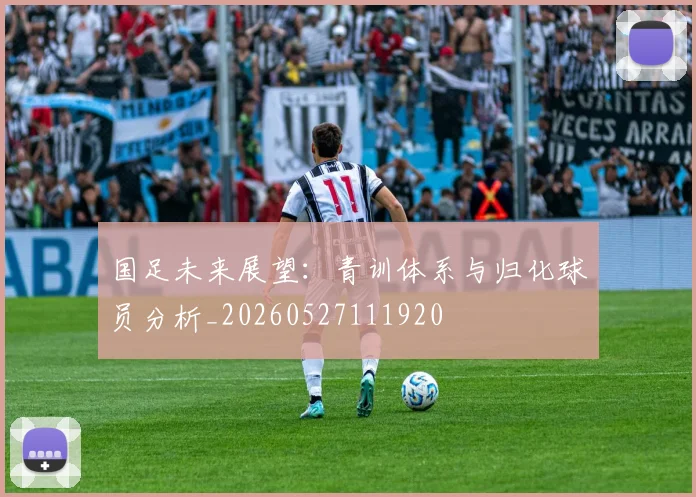 国足未来展望：青训体系与归化球员分析_20260527111920